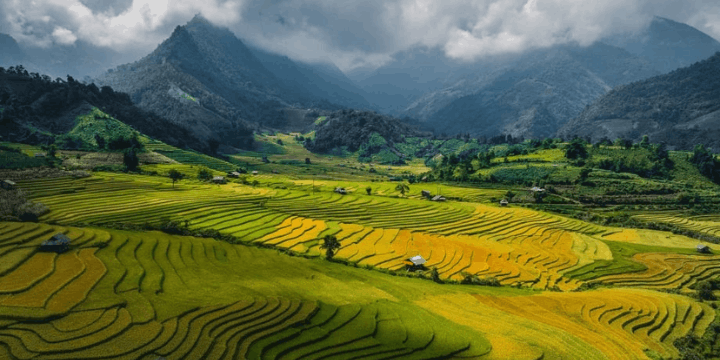 Pemandangan Pagi hari